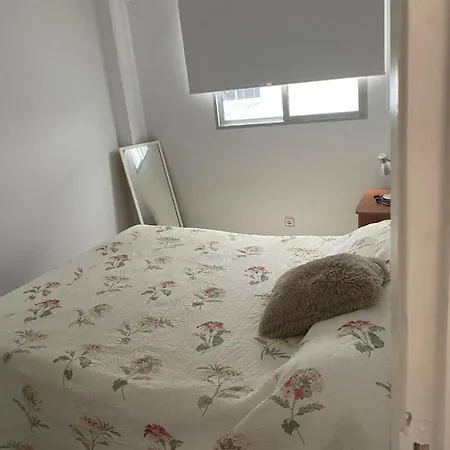 Apartment Comfortable And Conveniently Located House